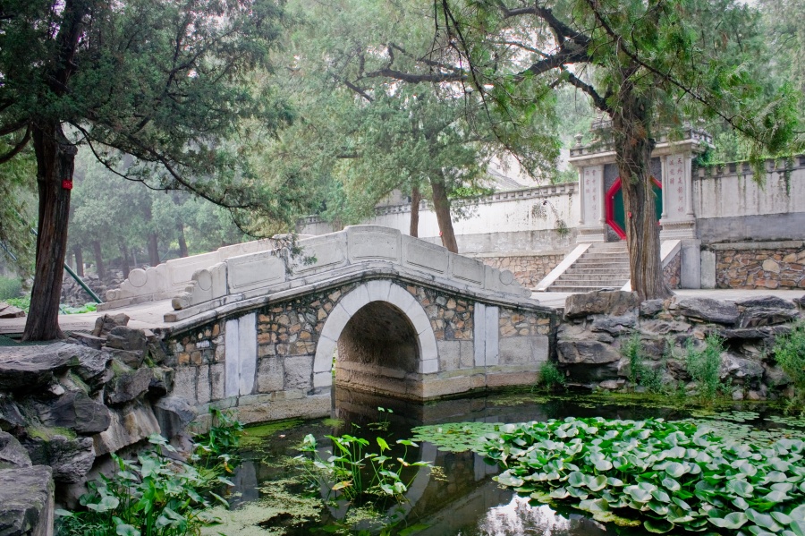 The Summer Palace