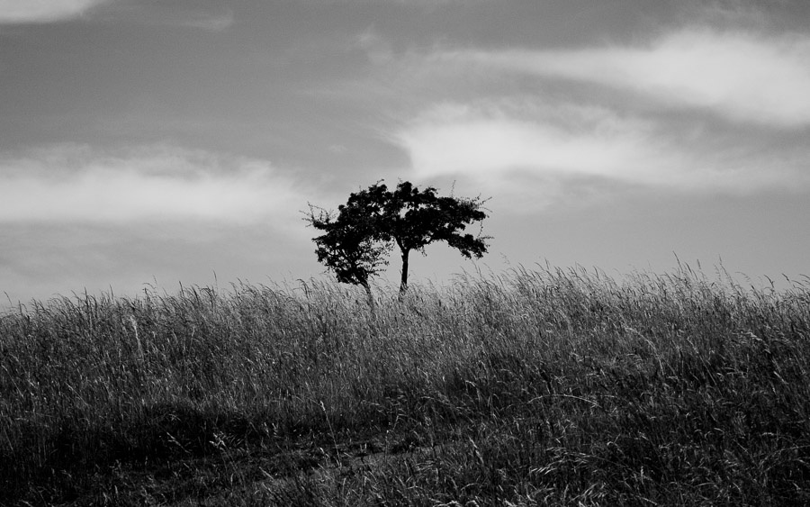 Phoenix Park, Dublin