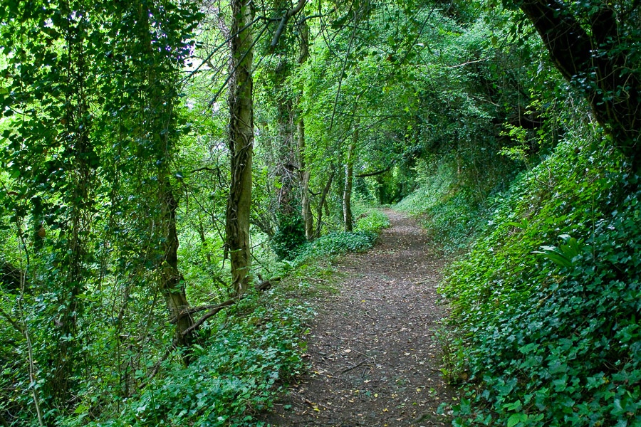 Phoenix Park, Dublin