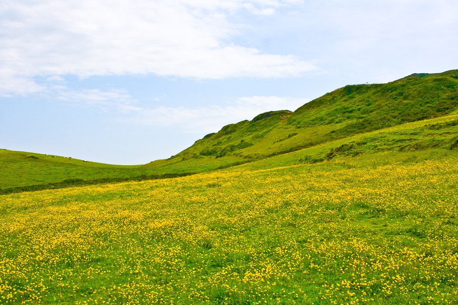 Northern Ireland