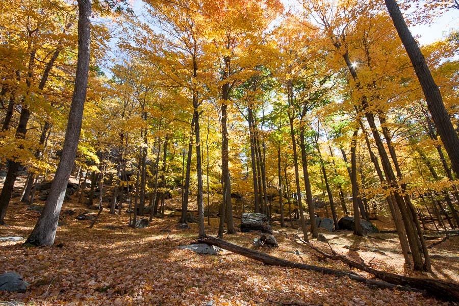 Harriman State Park