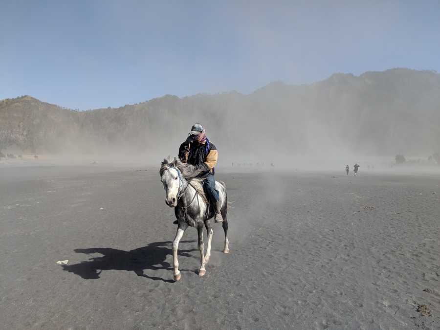 Horse on sea of sand near Mount Bromo