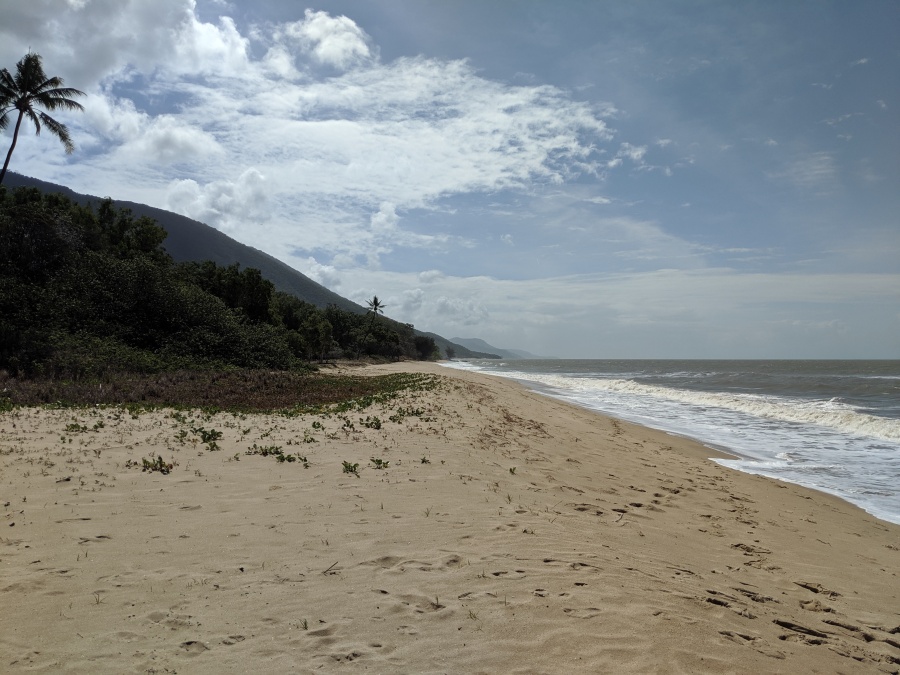 Beach along Captain Cook Highway north of Cairns