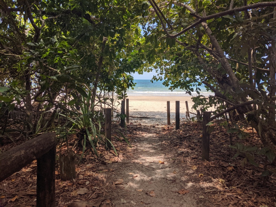 An inviting beach in the Daintree Rainforest