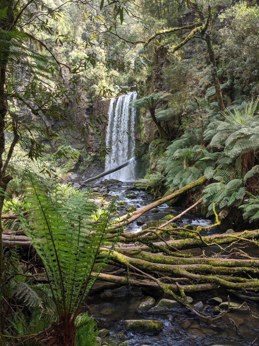 Hopetoun Falls in the Great Otway National Park