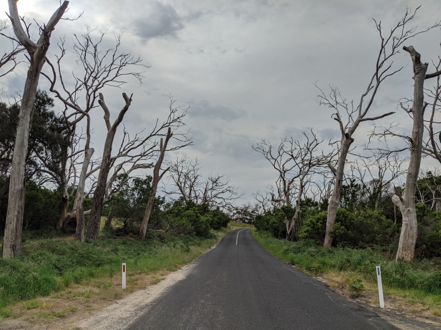 Great Otway National Park