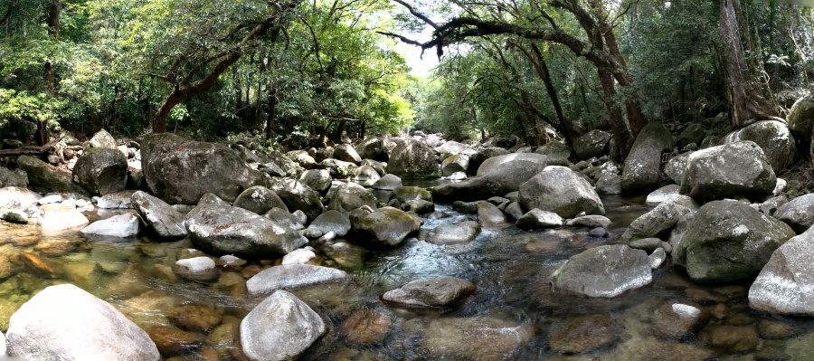 Mossman Gorge in the Daintree Rainforest