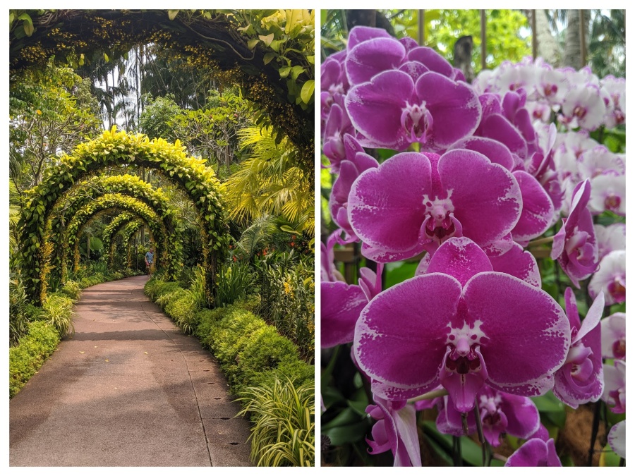 Singapore Botanical Gardens