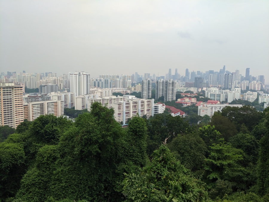 Singapore from Mount Faber