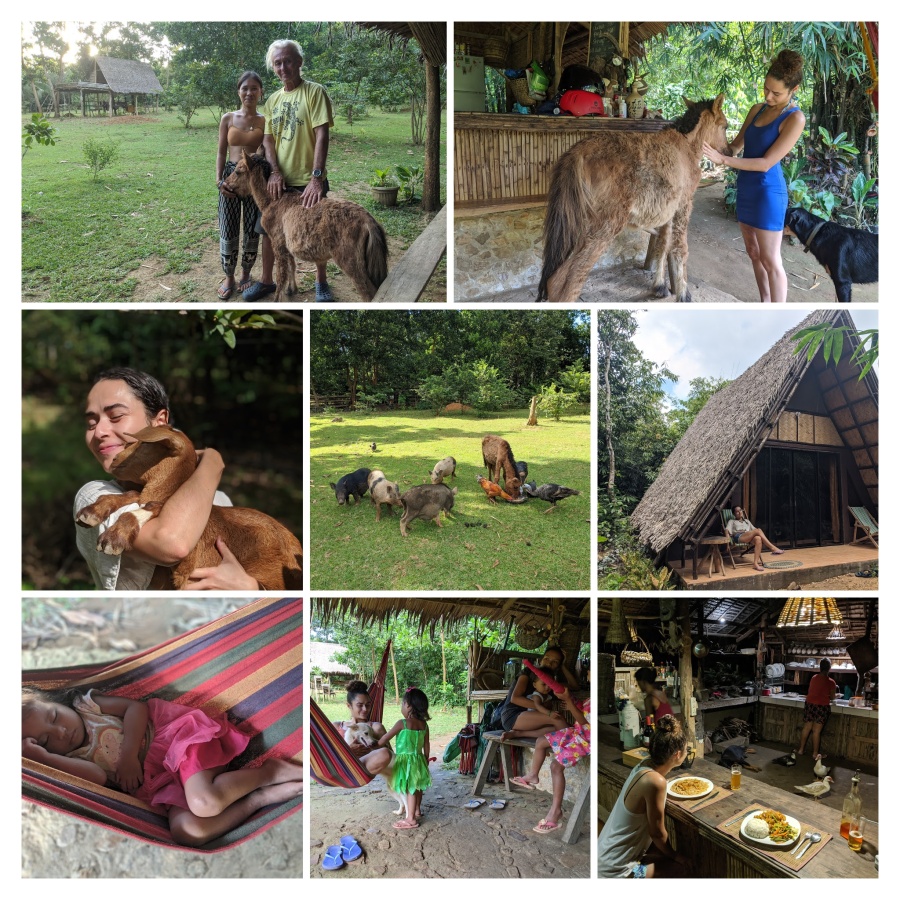 The Garden of Eden on Busuanga