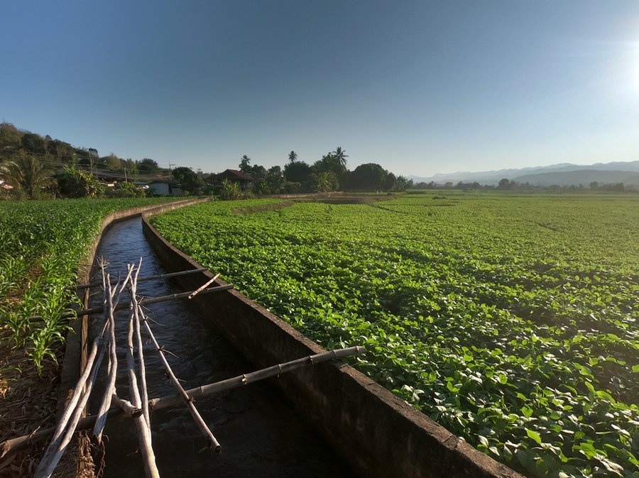 Farmland Near Mae Sariang