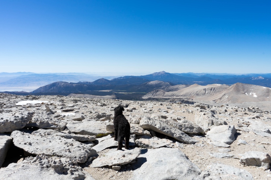 The Barren Moonscape at the Top of Mt. Langley