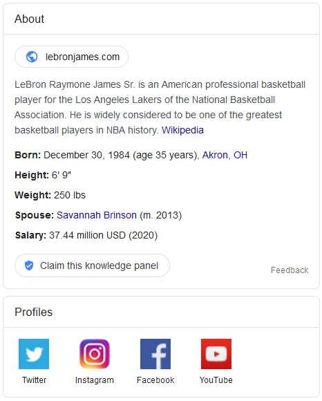 Google's Knowledge Panel for LeBron James